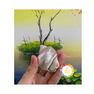 Servilleteros de concha marina con acentos de caracola para una declaración audaz en cenas de 99 Gold Data VN - Product Image 6