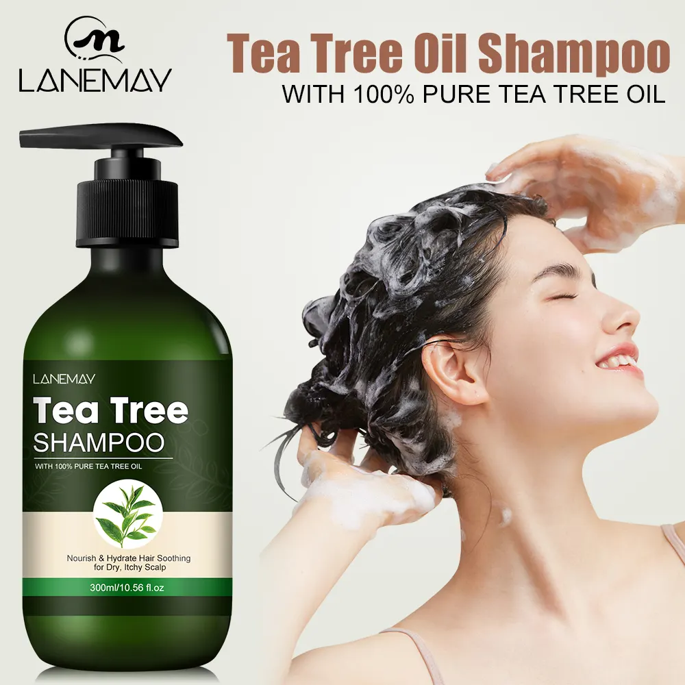 OEM Natural Organic Hair Oil Control Shampoo Nourish Hydrate Hair Soothing for Dry Itchy Scalp Tea Tree Oil Hair Care Shampoo