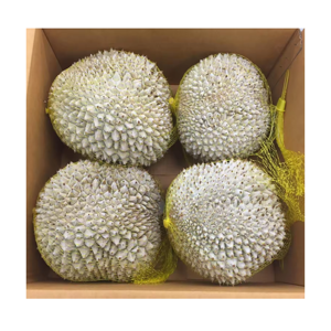Alta calidad Listo para comer Delicioso sabor auténtico 60g Musang King Durian Liofilizado Dulce Sabor de primera calidad Snack para todas las edades - Product Image 4