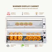 TENSHINE Réchauffeur d'affichage de style KFC Remplissage automatique de l'eau Armoire chauffante à deux niveaux pour poulet rôti et affichage des aliments