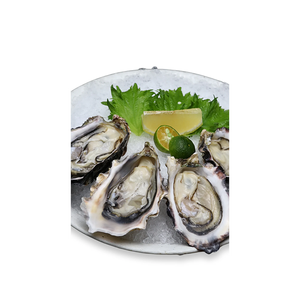หอยนางรมสดคุณภาพสูงราคาถูก บรรจุภัณฑ์แบบมีเปลือก แช่แข็ง เหมาะสำหรับการสั่งซื้อจำนวนมาก - Product Image 4