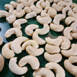 Anacardos a precio razonable Kaju, nueces de Badam, anacardos SANTIGO W240 exportados a Oriente Medio - Product Image 1