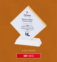 Trophée créatif en cristal acrylique fabriqué à la main Récompense Logo personnalisé Médailles et plaques d'affaires Artisanat en cristal vierge de qualité