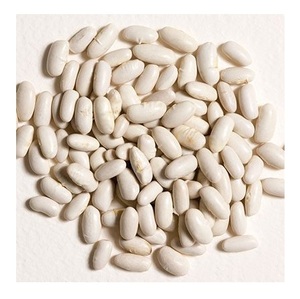 Haricots blancs secs crémeux pour la cuisine italienne, maintenant disponibles à la vente - Product Image 1