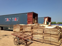 Placage de bois d'eucalyptus naturel à 100 % / Placage de bois / Face de bois reconstruit