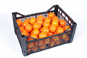 Naranjas Valencia, nueva cosecha de naranjas Navel frescas para venta al por mayor. - Product Image 6