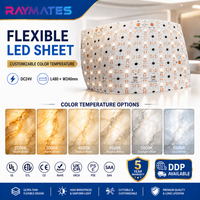 Feuille LED flexible ultra-mince professionnelle RAYMATES UL 2835, panneau LED haute densité, panneau LED flexible découpable pour la pierre