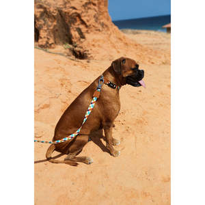 Laisse pour chien style dessin animé Phantom, en nylon rembourré durable avec éléments réfléchissants, laisse personnalisée à motif animal uni - Product Image 3