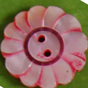 Botones de Concha Marina Tallados y Pulidos con Acabado Realista, Motivos Florales para Arte y Coleccionismo - Product Image 2