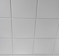 Paneles de Techo Modernos para Instalar en el Suelo o en el Techo, Revestimiento de Vinilo con Acabado de Madera PVC para el Hogar y Hoteles, Instalación Impermeable, Tradivas TRD42, 2 Años de Garantía