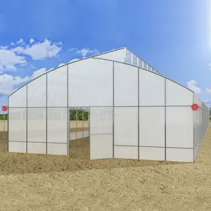 Serra agricola dei pomodori della struttura del metallo commerciale del tetto all'ingrosso invernadero