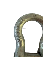 Manille à arceau en acier allié forgé à froid/acier inoxydable 1-3/4 pouces, quincaillerie de gréement robuste G209, ancre à vis galvanisée