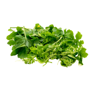 แตงโมขมแช่แข็ง/มะระขี้นกส่งออกพรีเมี่ยมจากเวียดนามคิมมินห์ระหว่างประเทศ - Product Image 1