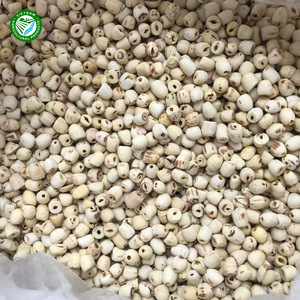 Graines de lotus blanc biologique Premium Vente en gros Fruits secs de haute qualité et utilisation d'aliments racines Type de stockage congelé Offre Spéciale - Product Image 2