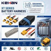 Câble de batterie en cuivre étamé personnalisé, fourni par l'usine, adaptateur XT30 XT60 XT90 XT120, faisceau de câblage IP66
