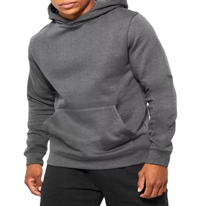 Qualité standard OEM 300gsm sweat-shirt à capuche lourd logo personnalisé sweat-shirt uni sweat-shirt unisexe en coton à la mode - Product Image 2