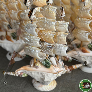 Décoration sur mesure en coquillages, utilisant des coquillages marins pour des produits décoratifs en provenance du Vietnam - Product Image 4