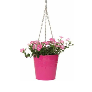 De vidrio de Metal de terrario geométrica contenedor escritorio plantador - Product Image 5