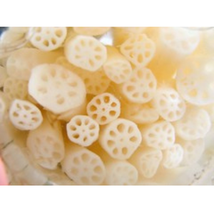 Meilleure racine de lotus cueillie naturelle de qualité supérieure Vente en gros Produit agricole 100% à bas prix - Product Image 3