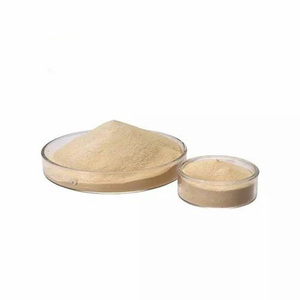 เอนไซม์อัลคาไลน์โปรตีเอสเกรดอาหารสำหรับผงซักฟอก - Product Image 1