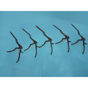 Ferris-Smith Kerrison Manual quirúrgico Rongeur punzones instrumentos de acero inoxidable CE ISO aprobado por Surgiright Instruments - Product Image 4