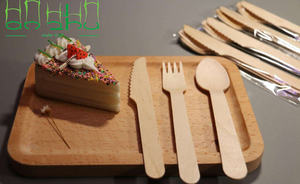 Les couverts à cuillère en bois sont des couverts alternatifs écologiques. Usine directe. Riche expérience d'exportation. - Product Image 2