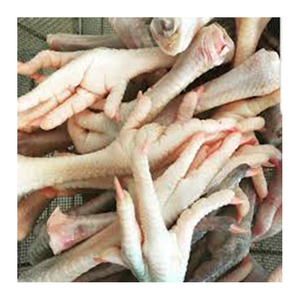 Pieds de poulet de qualité CHAUDE Fabricant en gros haut Nouveau meilleur matériau Avec des tarifs bon marché - Product Image 3