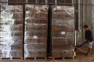 Cocopeat/Pith de coco d'Indonésie - Haute teneur en EC - Faible teneur en EC - Haute qualité - Vente chaude 2025 - Pour usage végétal - Product Image 2