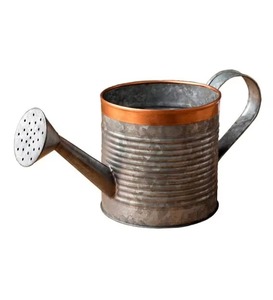 Nouveau Design Galvanisé Métal Cuivre Poignée Outils de Jardin Rond Mini Bidon d'Eau Sécurité Santé Arrosoir en Métal Prix de Gros - Product Image 1