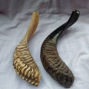 Shofar Kosher de Cuerno de Carnero Natural, Hecho a Mano, Ecológico, para la Vida Diaria, Bodas Modernas, Tamaño Personalizado, Venta Caliente - Product Image 5