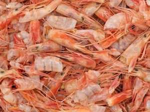 Poudre de coquille de crevettes séchée traitée VDELTA |   Approvisionnement en gros - Product Image 5