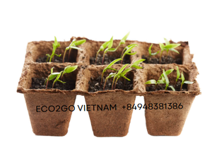 Maceta de coco ecológica 100% de alta calidad de Eco2go Vietnam y macetas para jardín hechas de fibra de coco - Product Image 6