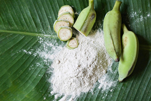 แป้งกล้วยเขียวคุณภาพสูงจากเวียดนามสำหรับการส่งออก - Product Image 4