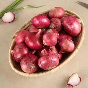 Fresh <b>Red</b> Onion Premium Quality, Low Price Wholesale Export - Product Image 4