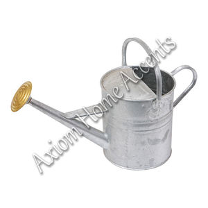 Regadera elegante Diseño moderno Color plata para uso en interiores y jardines por Axiom Home Accents - Product Image 3