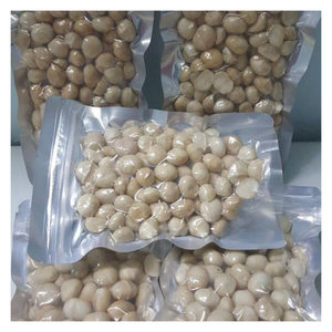 Noix de Macca du Vietnam Noix de Macca séchées à l'exportation avec huile riche et teneur en protéines Saveur naturelle Direct OEM Emballage personnalisé - Product Image 1