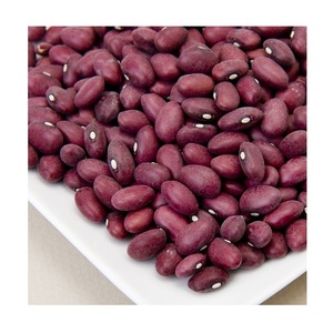 ซื้อถั่วแดงเข้มทรงยาวราคาถูกสำหรับขาย - Product Image 5