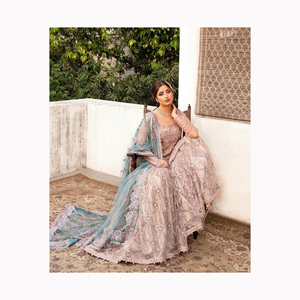 Vente chaude robe de mariée pakistanaise pour femmes Salwar Kameez pour la fête de mariage porter du fournisseur indien en vrac 2024 à la mode - Product Image 3