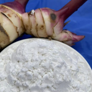 Top Quality Organic Arrowroot Starch Powder Best Price Natural Taste for <b>Food</b> & <b>Ingredients</b> Packaged in Bag Sourced in Vietnam - Product Image 1