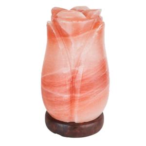 Lampe en sel de l'Himalaya de forme géométrique sculptée de style Feng Shui écologique, base en bois, motif floral - Artisanat naturel Sian - Product Image 2