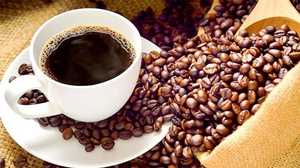 Café Robusta torréfié moulu de spécialité premium avec des grains noirs brisés à moins de 0,1 %, certifié USDA, qualité d'exportation A+, maturité 98 % - Product Image 4