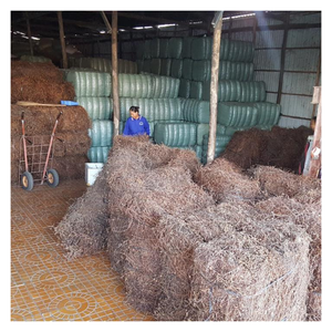 Gelée d'herbe noire du Vietnam utilisée pour les cubes de gelée Gelée d'herbe noire pour les acheteurs en vrac dans l'industrie des boissons et des garnitures de dessert - Product Image 3