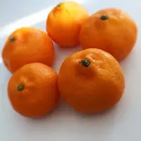 Jeruk Mandarin Segar