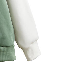 Sweats à capuche pour femmes, blocs de couleur, Logo personnalisé, taille du motif dans toutes les nouvelles couleurs différentes avec différents blocs pour l'hiver 2023 - Product Image 4