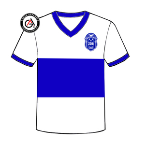 Zeta Phi Beta Soror Ropa de mujer de alta calidad Camisas de mujer al por mayor Manga corta Moda Unisex Cuello en V Camisetas de mujer - Product Image 5