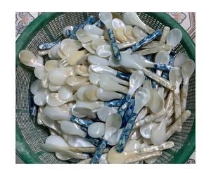 Cuillère à coquillage écologique du désert avec bougie sculptée à la main Grossiste cuillère à coquillage du Vietnam - Product Image 2