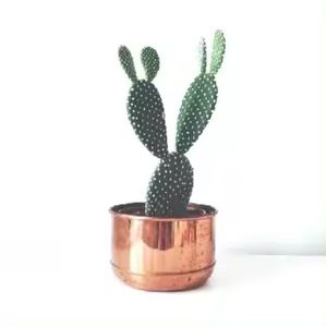Jardinières et pots de fleurs en cuivre poli de forme et de taille personnalisées les plus vendues Jardinière et pot de fleurs métalliques de la plus grande qualité - Product Image 1