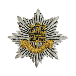 Haute qualité 100% patchs de fil brodés à la main Royal Anglian Royal Anglian Blazer Bullion fil décoration Badges - Product Image 2