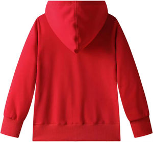 2025 conception de logo personnalisé en gros 100% coton sweat à capuche pour hommes respirant sweat-shirt décontracté avec couleur unie à capuche pour hommes - Product Image 2