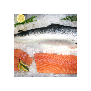 Salmón Atlántico Entero Congelado de Alta Calidad, Grado A, Bajo en Azúcar y Libre de Grasas Trans - Product Image 2